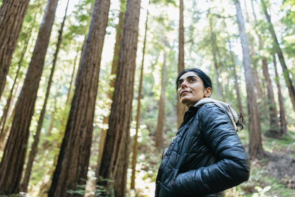 From San Francisco: Muir Woods National Monument Guided Tour - Tour Details