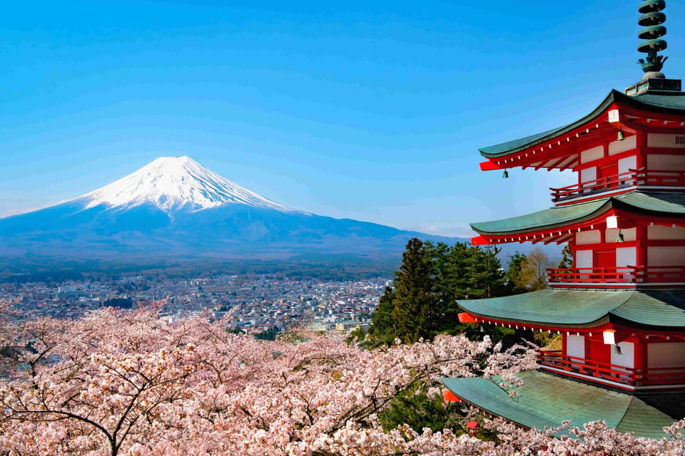 From Tokyo MT Fuji Fully Customize Tour With English Driver - Tour Details