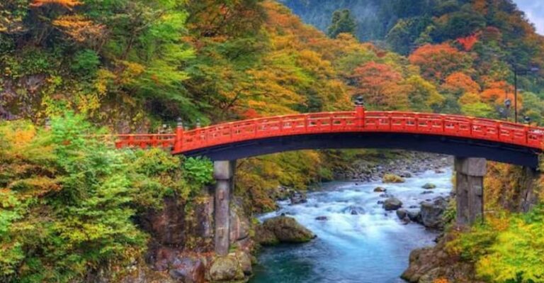 From Tokyo: Nikko Private Full-Day Sightseeing Day Trip