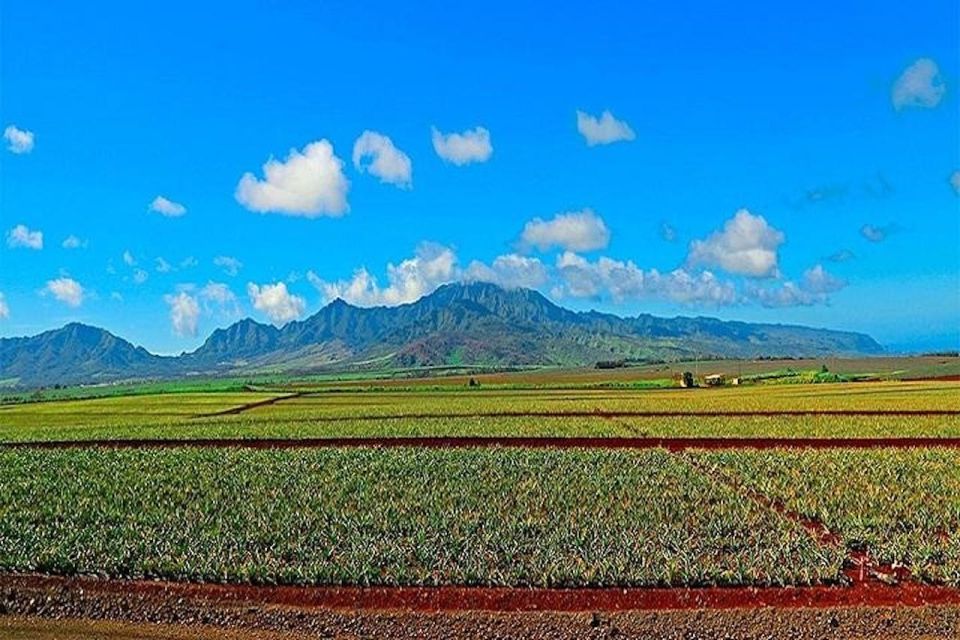 From Waikiki: Oahu Grand Circle Island Experience - Tour Details