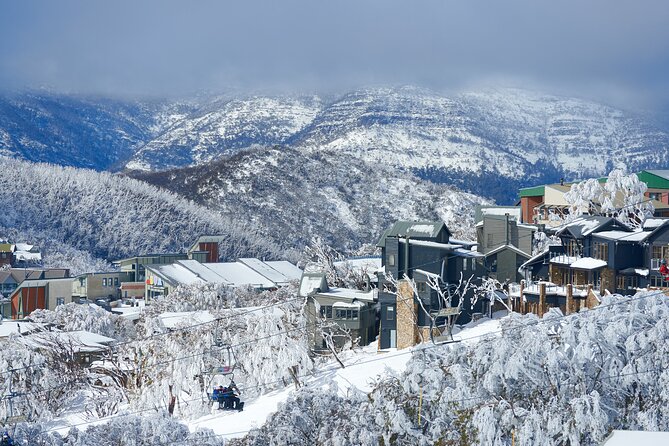 Full-Day Mount Buller Tour - Key Points