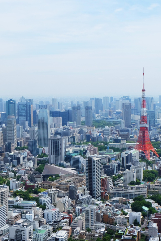 Full-Day Private Tour to Discover The Best of Tokyo - Key Points