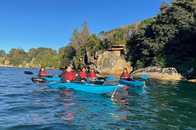 Guided Kayak Tour of Manly Cove Beaches - Exploring Manly Coves Hidden Gems