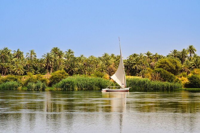 Half-Day Tour To The Mummies Museum & 1Hour Felucca Nile Ride - Key Points