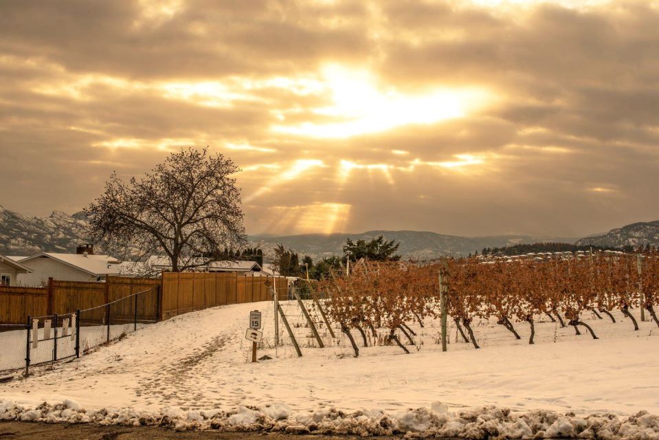 Half-Day West Kelowna Wine Tour - Key Points