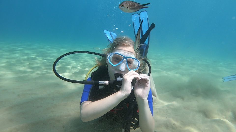 Heraklion: Beginner Scuba Diving Lessons & PADI Instructor - Key Points