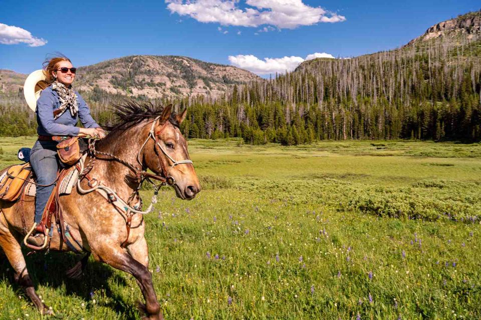 Jackson Hole: Dinner Cookout & Bridger-Teton Horseback Ride - Key Points