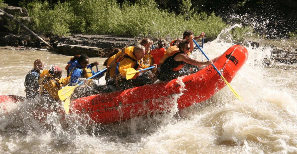 Jackson Hole: Snake River Whitewater Rafting Tour - Tour Highlights