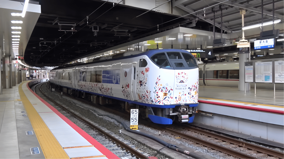 Kansai-Airport Express HARUKA One-way Ticket - Key Points