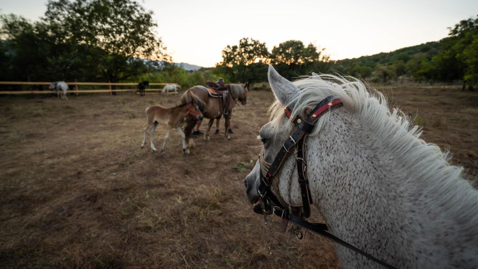 Kastraki: Meteora Sunset Horseback Riding - Key Points