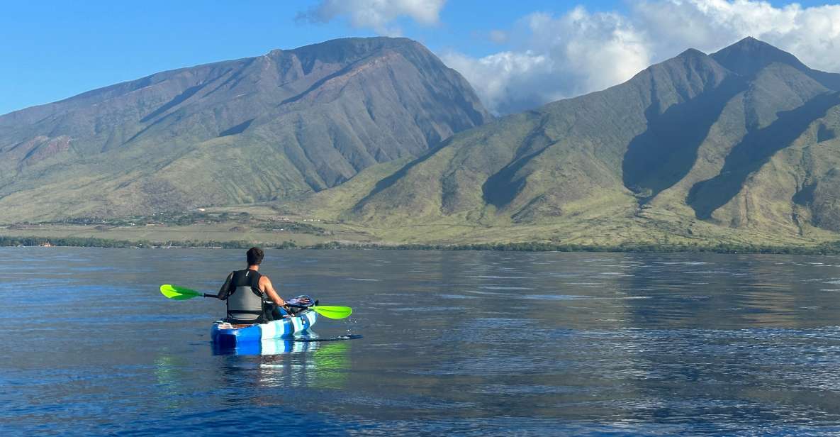 Kayak, Whale Watch And Snorkel At Turtle Town - Activity Details