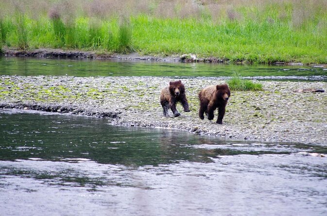 Ketchikan Rainforest Canoe and Nature Walk - Key Points