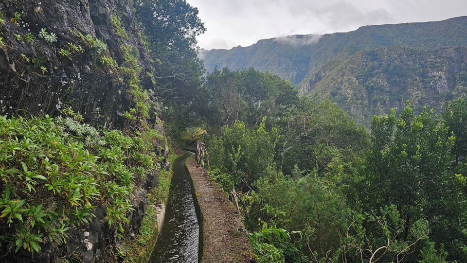 Levada Dos Tornos-Boaventura by Overland Madeira - Key Points