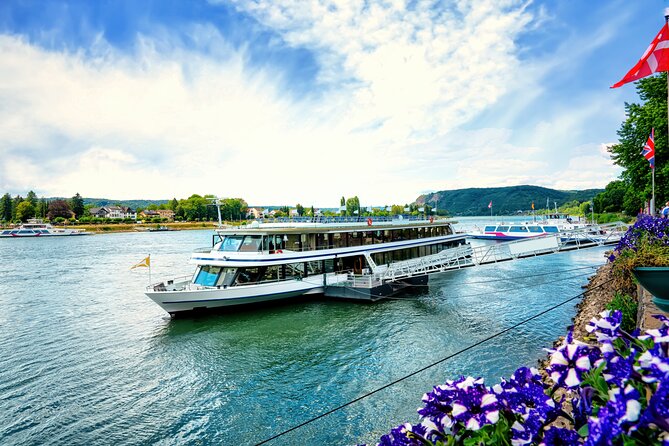 Linz Old Town Private Walking Tour and Cruise - Key Points