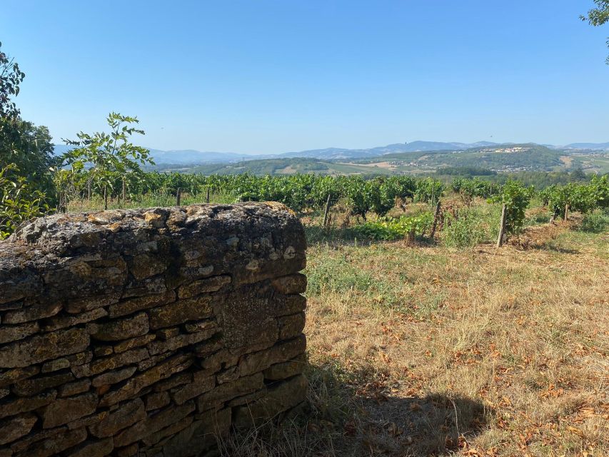 Lyon : Self-Guided Hike in the Beaujolais (Train & Picnic) - Key Points