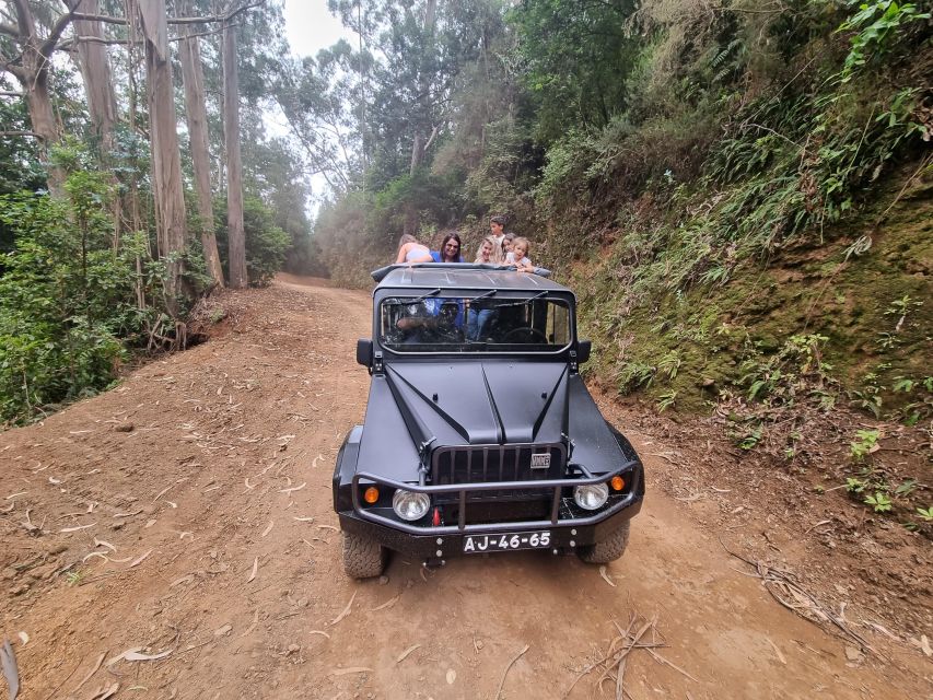 Madeira : SkyWalk, Fanal, Natural Pools 4x4 Jeep Tour - Key Points