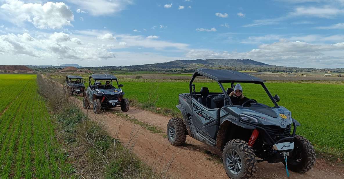 Mallorca: Buggy Adventure in the Mountains & Secret Coves - Key Points