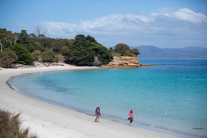 Maria Island Active Day Tour From Hobart - Key Points