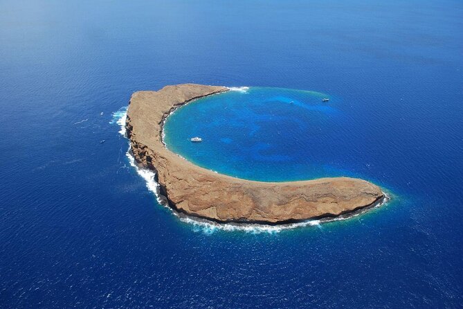 Molokini Snorkel and Performance Sail From Maalaea Harbor - Key Points