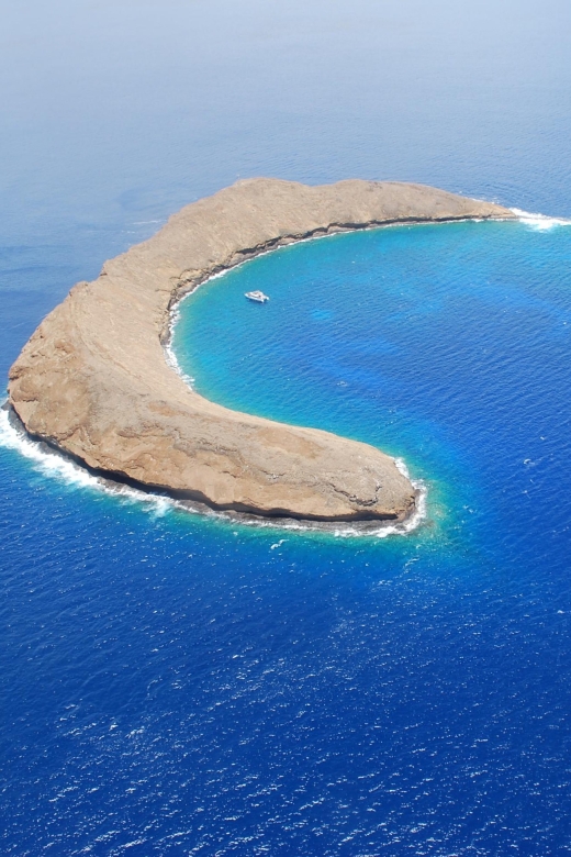 Molokini Snorkel & Slide 7AM - 12PM - Key Points