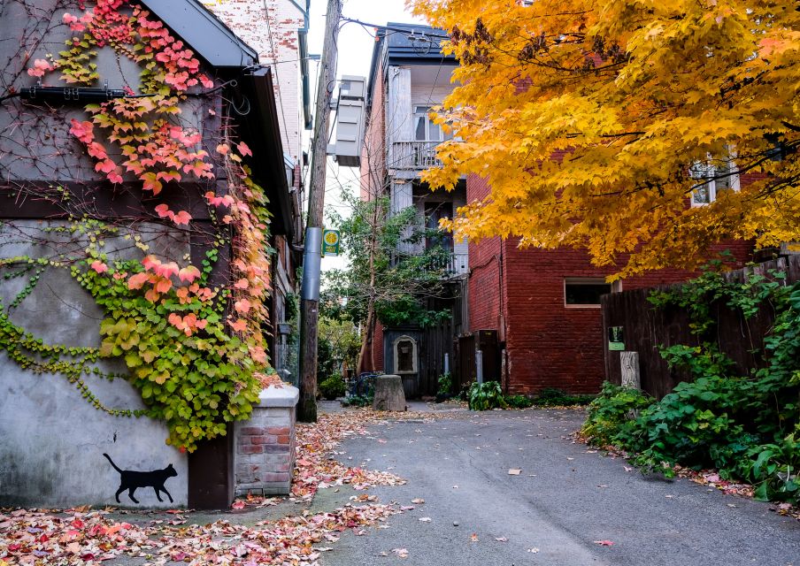 Montreal: Plateau Mont-Royal & Mile End Walking Tour - Key Points