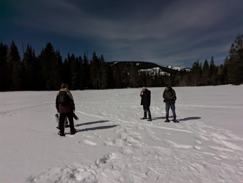 Moonlight Snowshoe Tour Under a Starry Sky - Key Points