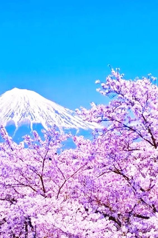 Mt. Fuji Area, Hikawa Clock Shop, Dream Bridge 1-Day Tour - Key Points