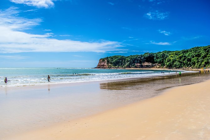 Natal to Pipa Beach Full-Day Tour With Transport and Guide - Key Points