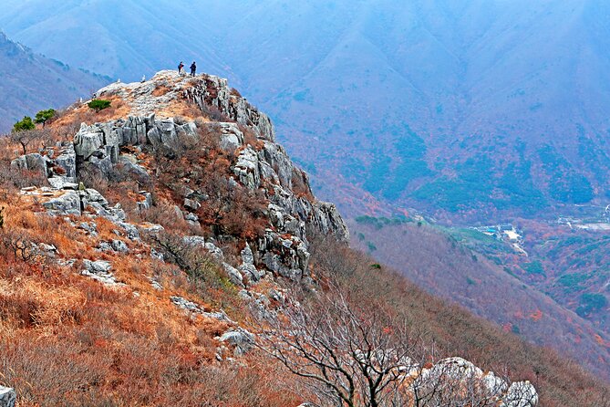 Panoramic Yeongnam Alps Gondola Autumn Foliage Tour From Busan - Key Points