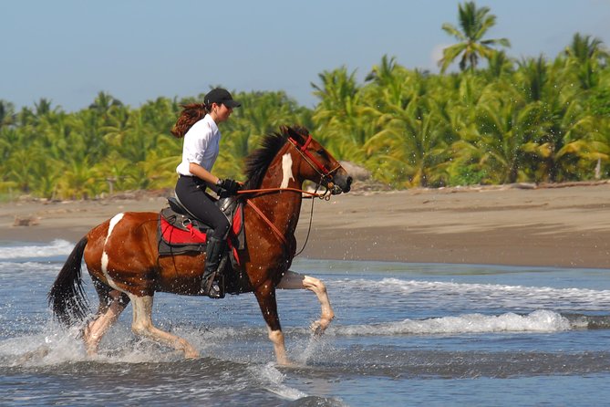 Personalized Beach Adventure Near Jaco - Key Points