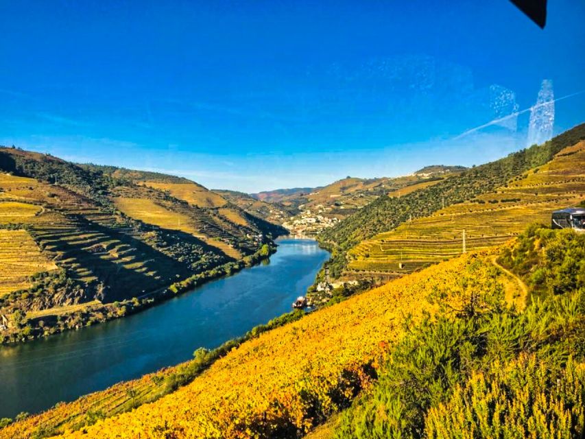 Porto: Douro Valley Tour With 3 Wineries & Lunch - Key Points