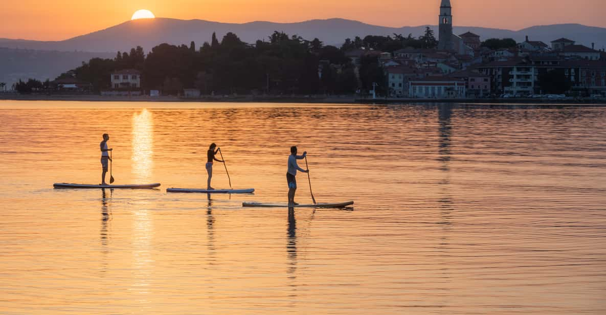 Portorož: Sunset Coastline Stand-Up Paddleboarding Tour - Key Points