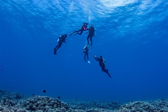 Private Combo Scuba Diving and Snorkeling With Motu Lunch - Key Points