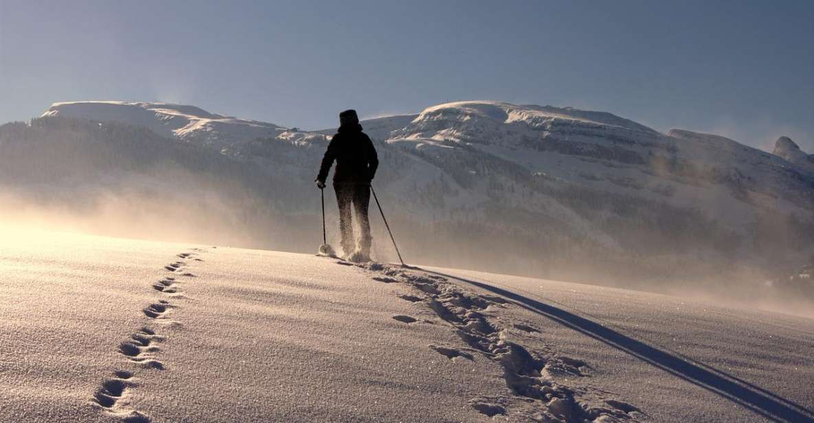 Private Snowshoeing Full Day - Key Points