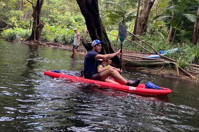 Rainforest Drift - FreshWater Rainforest - Key Points