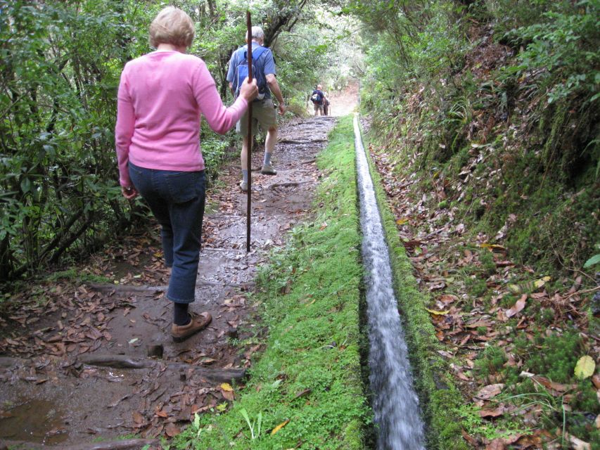 Ribeiro Frio / Portela - Levada Walk - Key Points