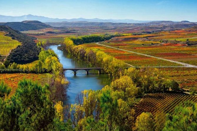 Rioja Alta and Rioja Alavesa Wine Tour - Key Points