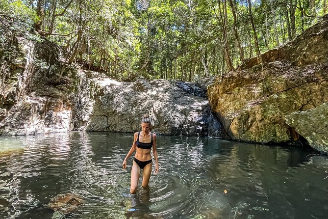 Self Guided E Bike Tour - Unicorn Falls, Rainforest & Rail Trail - Key Points