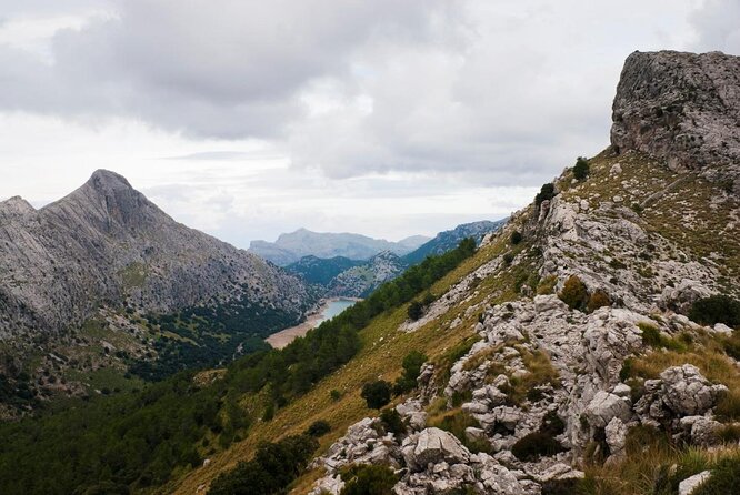 Small-Group Cliff Jumping Experience in Mallorca - Key Points