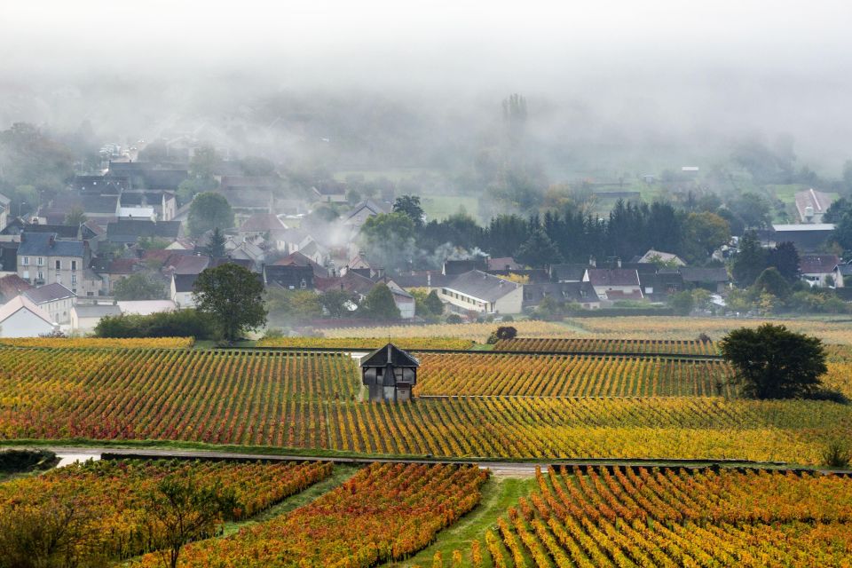 Small Group Tour Morning in Côte De Beaune - Key Points