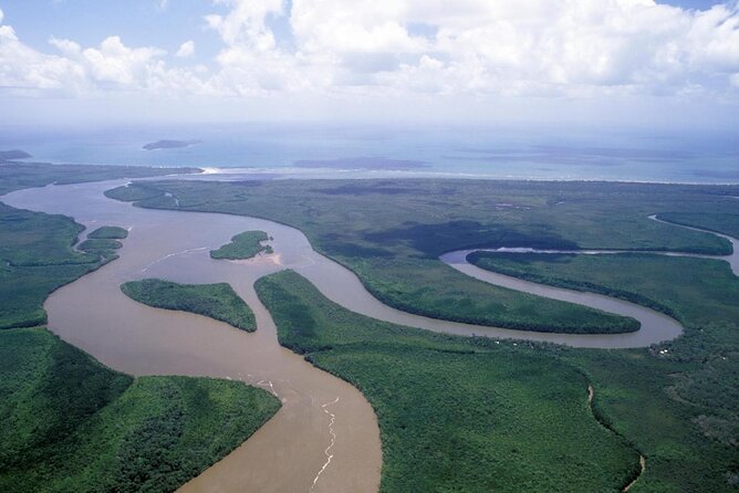 Small-Group Trekking Experience in Daintree National Park - Key Points