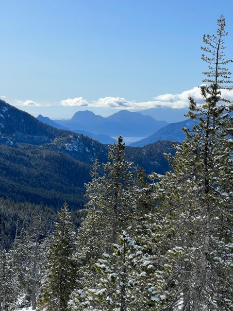 Snowshoeing At The Top Of The Sea To Sky Gondola - Key Points