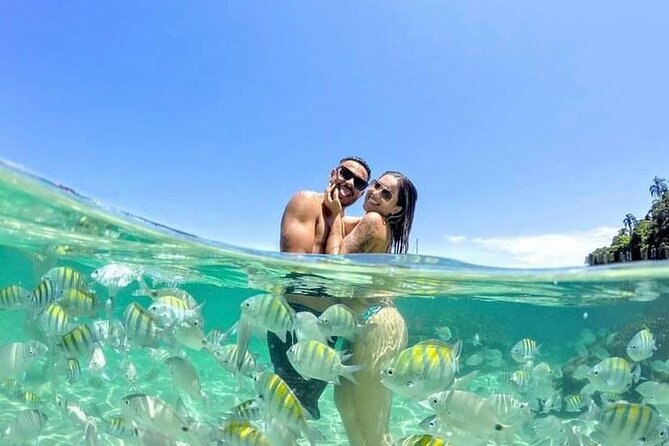 Speedboat Ride in Angra With the Best Company Nº1 on Tripadvisor - Reviews