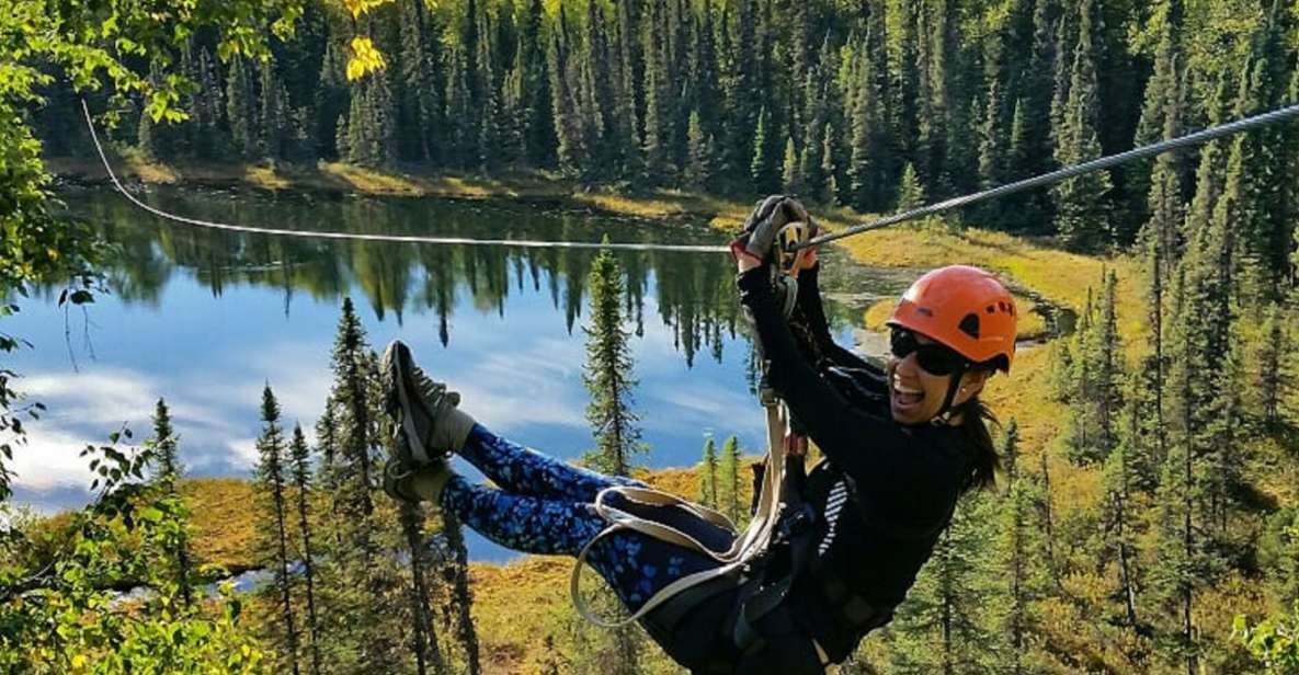 Talkeetna: Zipline Tour - Key Points