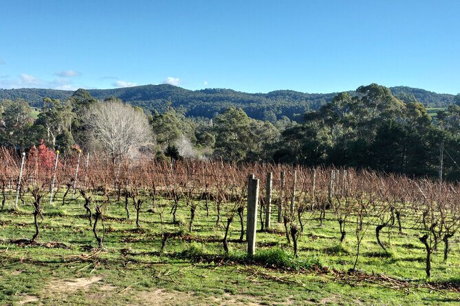 Tasmanian Tasting Tour - Key Points