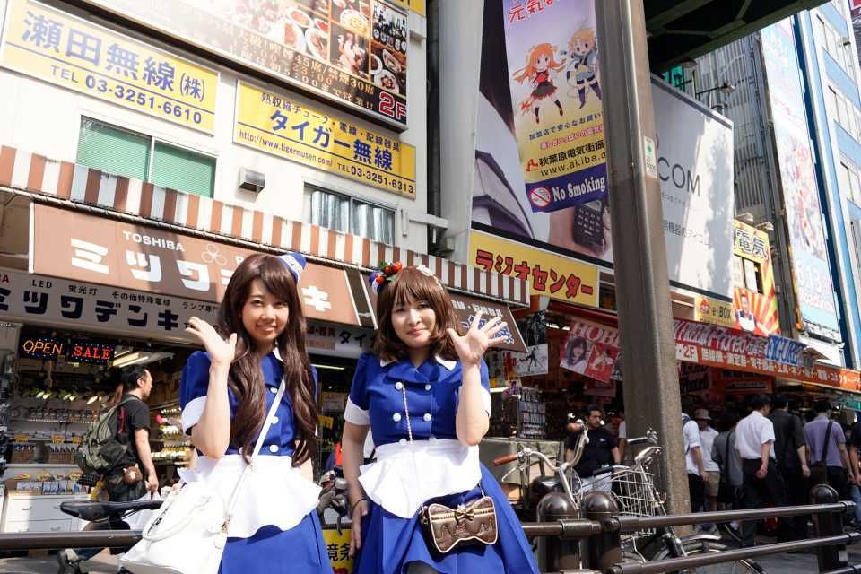 Tokyo: Akihabara 2-Hour Guided Walking Tour - Tour Duration and Group Size