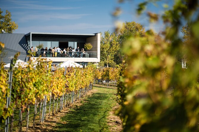 Tour & Tasting Classic at the Esterhazy Winery