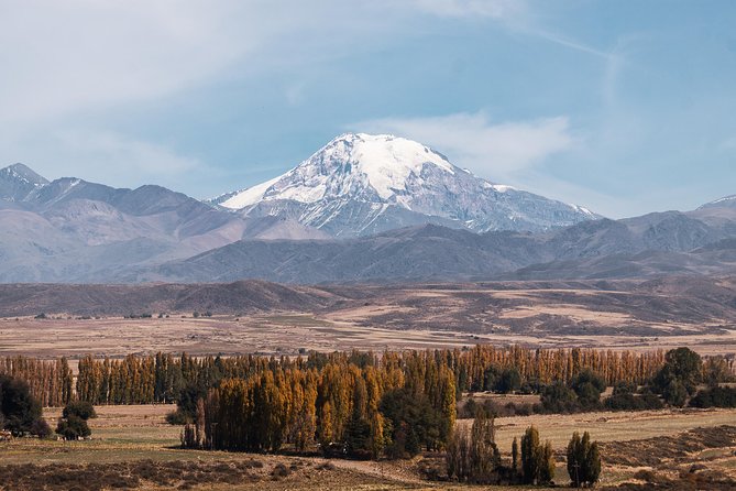 Uco Valley Hidden Wineries Tour With 5-Star Resort Lunch  - Mendoza - Tour Itinerary Highlights