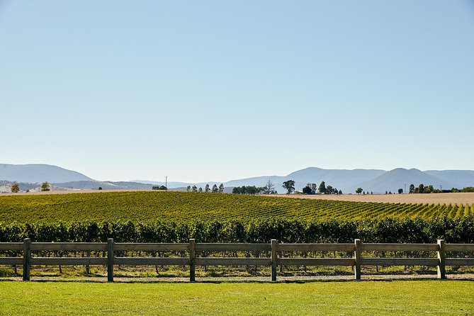 Ultimate Yarra Valley Wine & Food Tour With 2-Course Lunch - Key Points