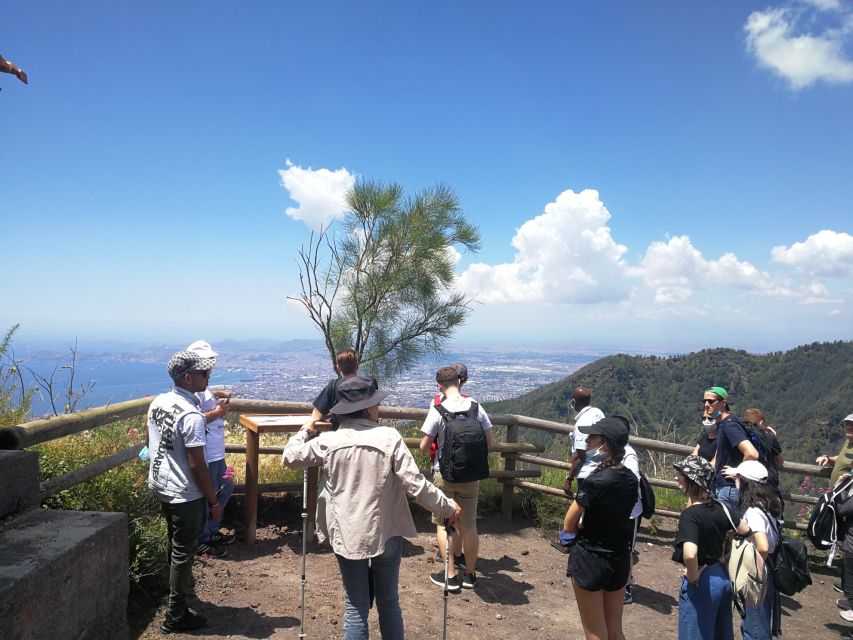 Vesuvio, Vesuvio Cellar Tour - Key Points